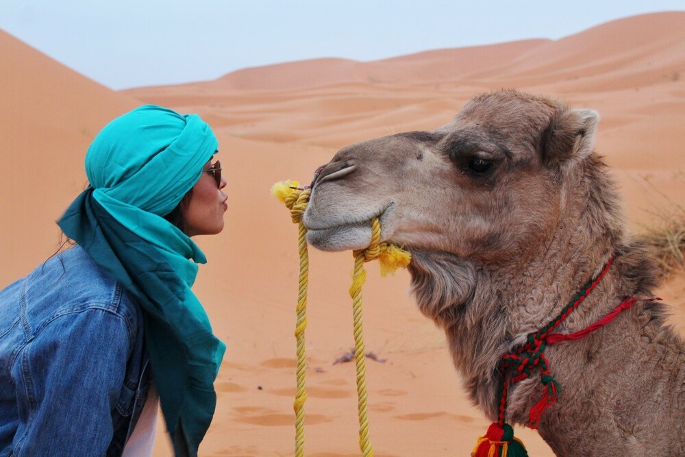 paseo en camello en tenerife