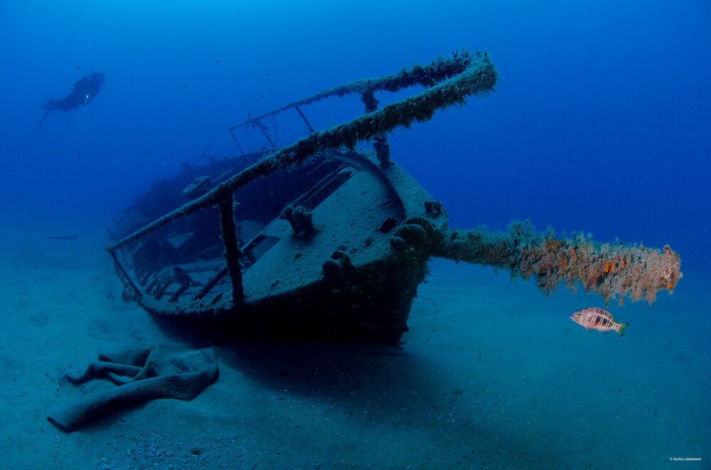 Submarinismo Tenerife barcos